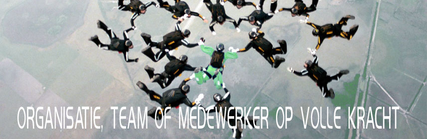 Organisatie, Team of Medewerker op volle kracht